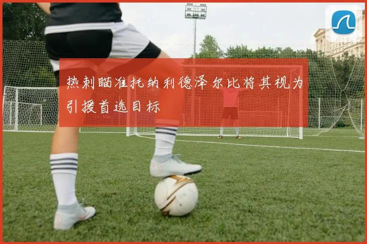 热刺瞄准托纳利德泽尔比将其视为引援首选目标